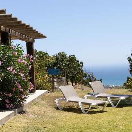 La Casa Del Burro Bed and Breakfast Nerja Buitenkant foto