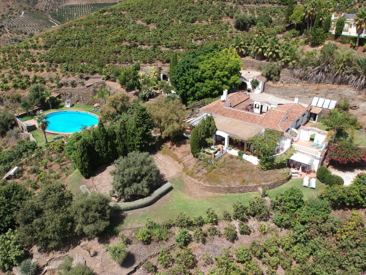 La Casa Del Burro Bed and Breakfast Nerja Buitenkant foto