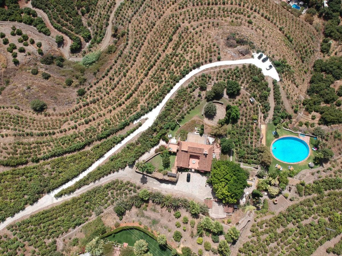 La Casa Del Burro Bed and Breakfast Nerja Buitenkant foto