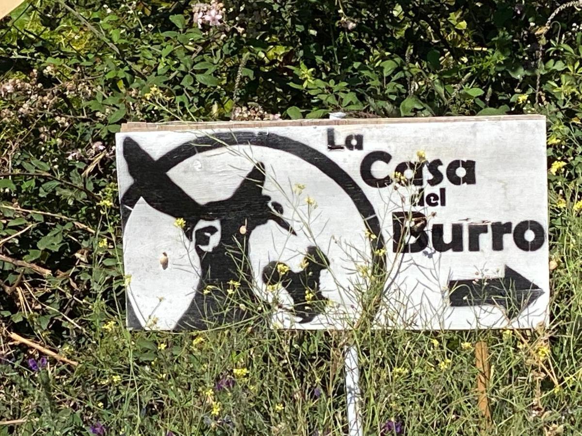 La Casa Del Burro Bed and Breakfast Nerja Buitenkant foto