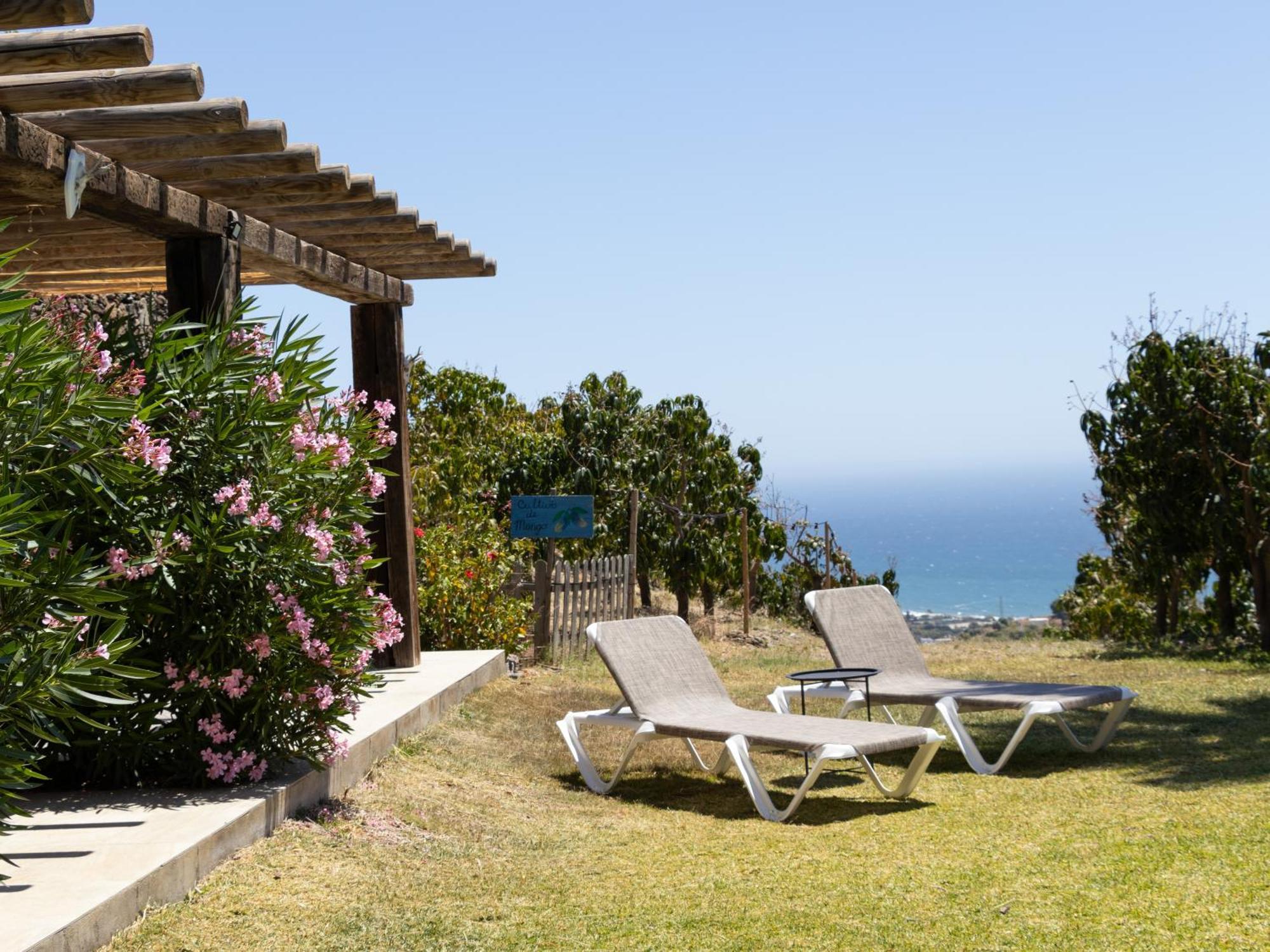 La Casa Del Burro Bed and Breakfast Nerja Buitenkant foto