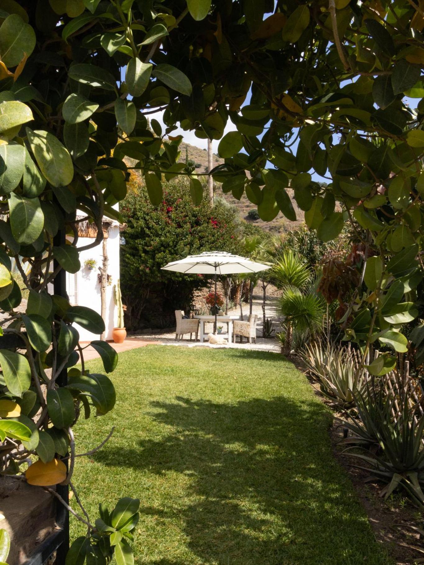 La Casa Del Burro Bed and Breakfast Nerja Buitenkant foto