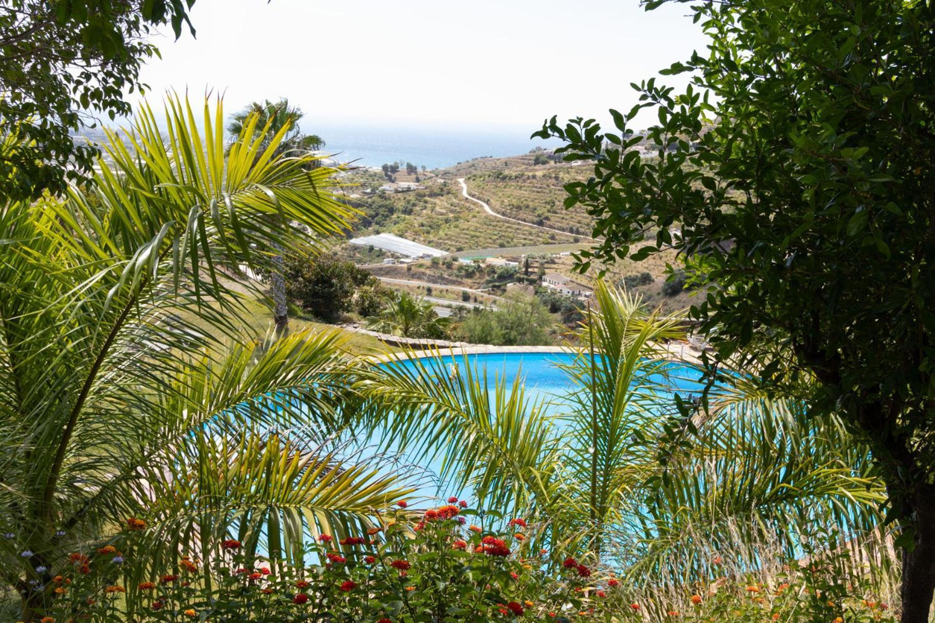 La Casa Del Burro Bed and Breakfast Nerja Buitenkant foto