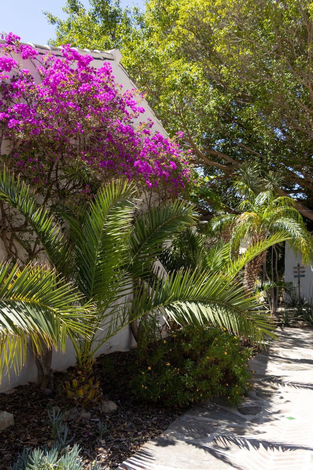 La Casa Del Burro Bed and Breakfast Nerja Buitenkant foto